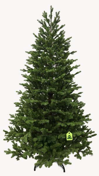 Smrek Natura 100 % 550 LED 150 cm