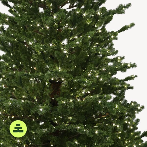 Smrek Natura 100 % 550 LED 150 cm