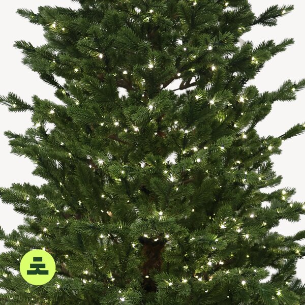 Smrek Natura 100 % 550 LED 150 cm