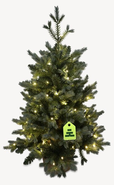 Smrek Modrý 100 LED 90 cm