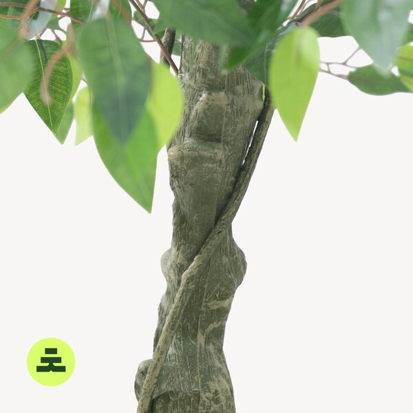 Umelý Fikus Viacposchodový 150 cm