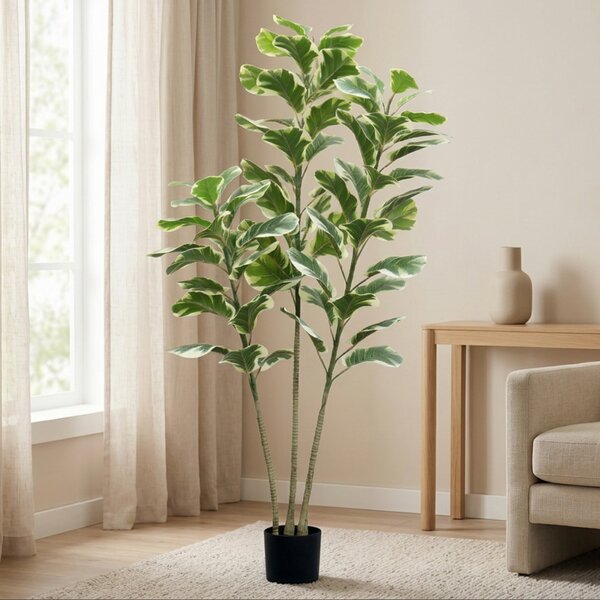 Umelý Fikus Lyrata 150 cm