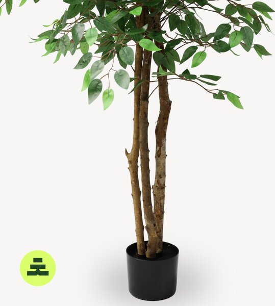 Umelý Fikus Zelený 160 cm