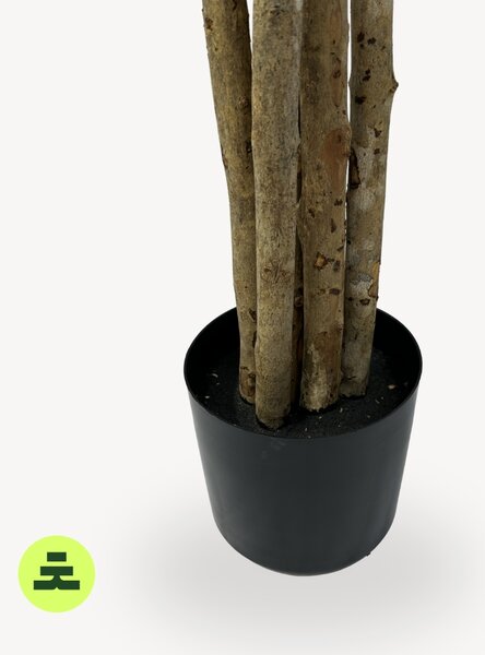 Umelý Olivovník Viackmenný 120 cm