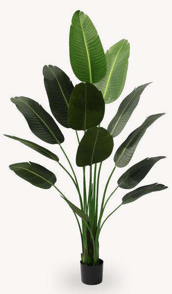 Umelá Ravanela 120 cm