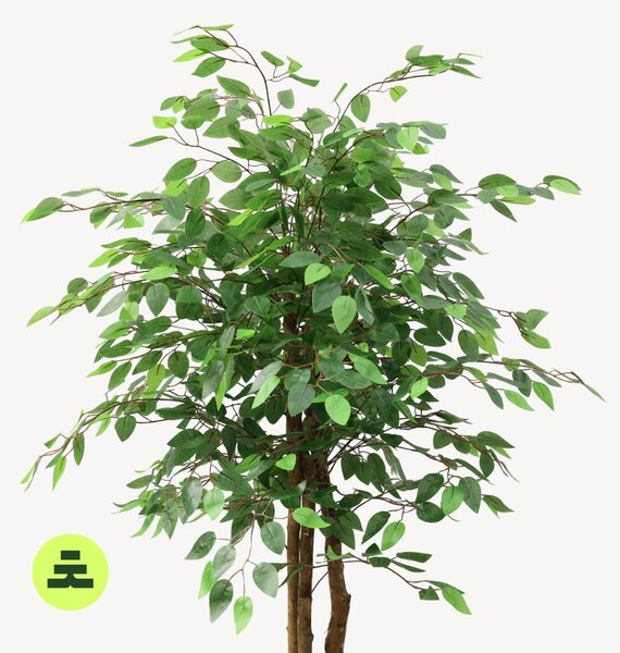 Umelý Fikus Zelený 160 cm