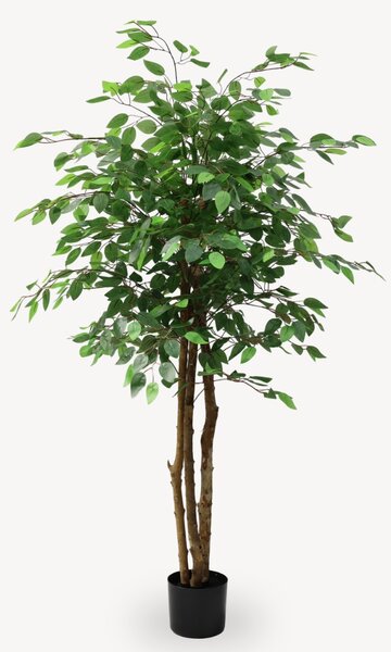 Umelý Fikus Zelený 160 cm