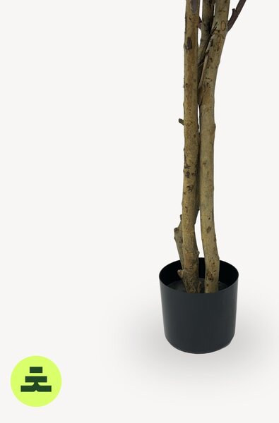 Umelý Krotón Jesenný 120 cm