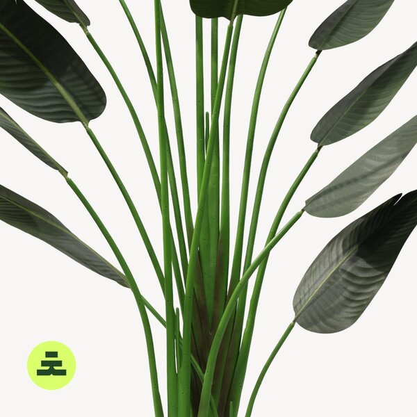 Umelá Ravanela 120 cm