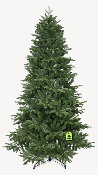 Jedľa Kaukazská 100% 150 cm