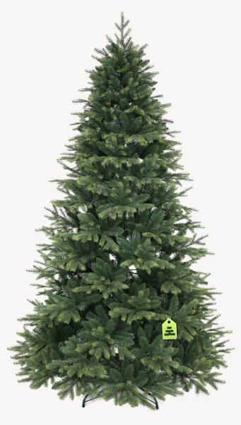 Smrek Himalájsky 150 cm