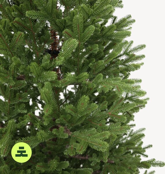 Smrek Natura 100% 150 cm