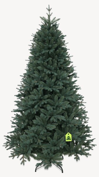 Smrek Strieborný 150 cm