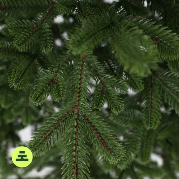 Smrek Natura 100% 150 cm