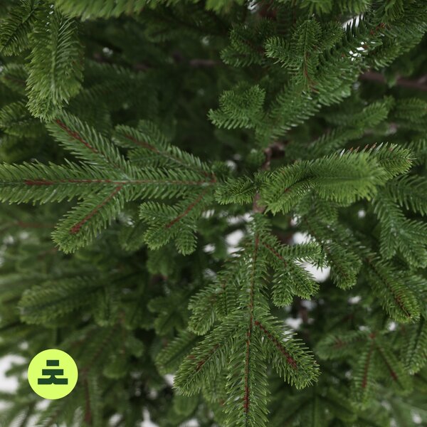 Smrek Natura 100% 150 cm