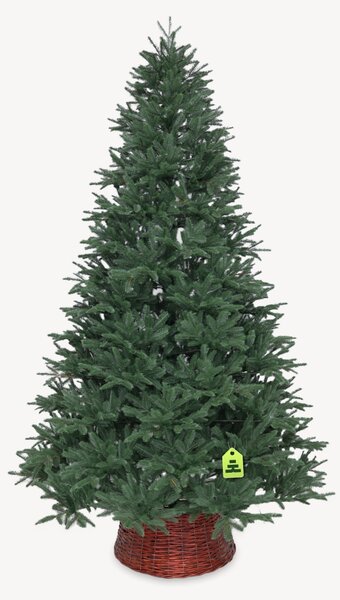 Jedľa Sibírska 100% 150 cm