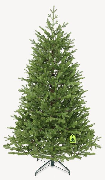 Smrek Natura 100% 150 cm