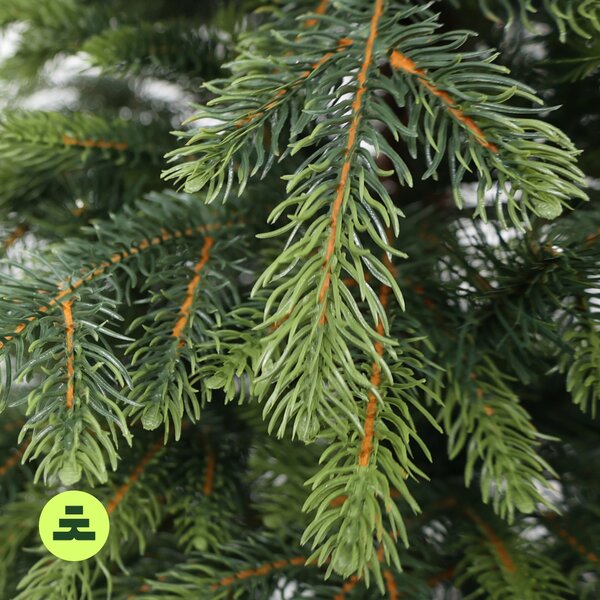 Smrek Natura 150 cm