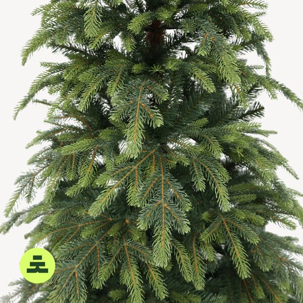 Smrek Natura 150 cm