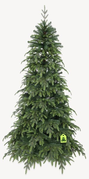 Smrek Natura 150 cm
