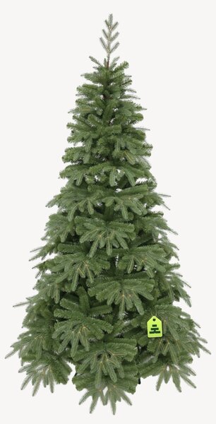 Jedľa Prírodná 150 cm