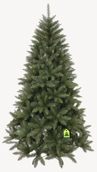 Smrek Kavkazský 150 cm