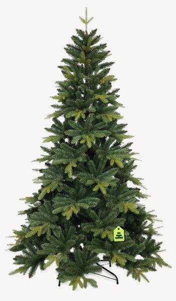 Jedľa Kangri 150 cm