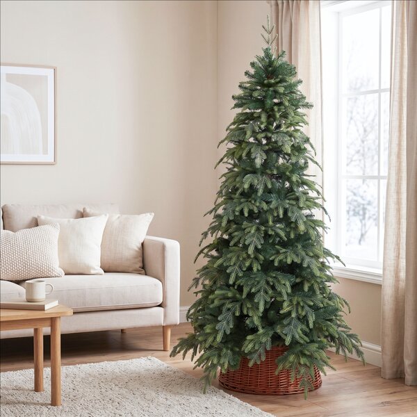Smrek Natura 150 cm