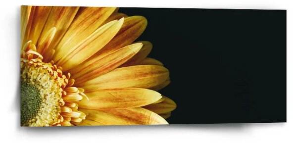 Sablio Obraz Žltá gerbera - 110x50 cm