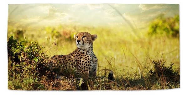 Sablio Uterák Gepard - 30x50 cm