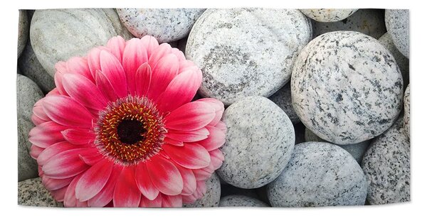 Sablio Uterák Gerbera na kameňoch - 30x50 cm