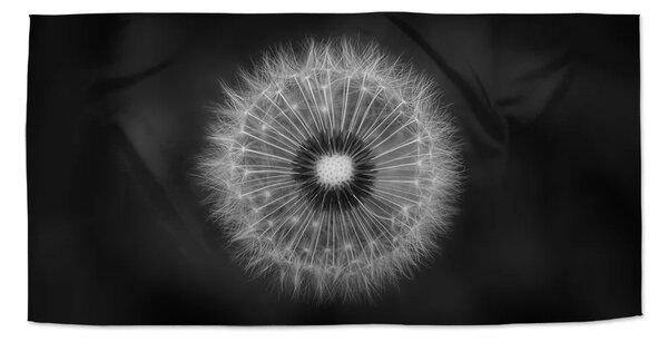 Sablio Uterák Čierno-biela púpava - 30x50 cm