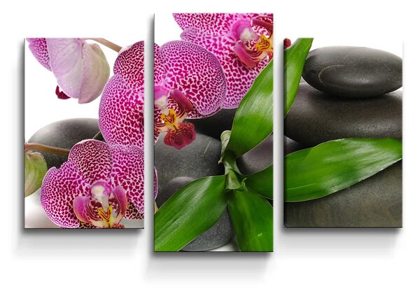 Sablio Obraz - 3-dílný Orchidey a kamene - 75x50 cm