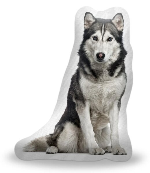Sablio 3D vankúš Sibírsky husky 38×50cm