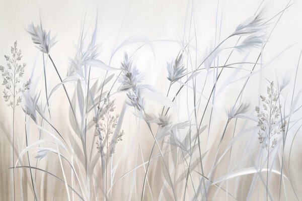 Tapety Strieborná lúka, Fototapety s prírodnými motívmi, w09652v1 : Uwalls.sk