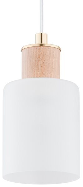 Luster na lanku EVIC 3xE27/60W/230V