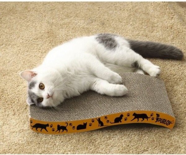 Leopet 22037 Škrabadlo kartónové 42 cm