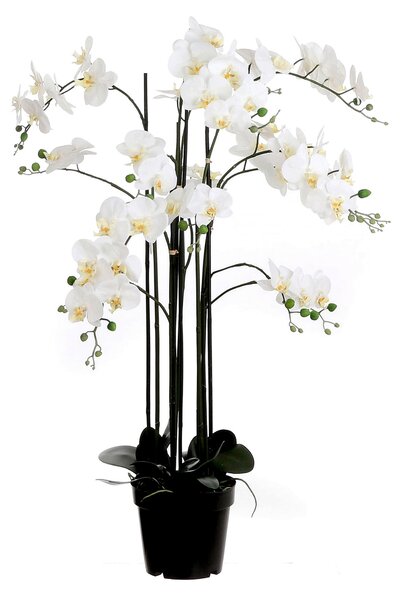 ORCHIDEA 117 cm - Kvety & kvetináče