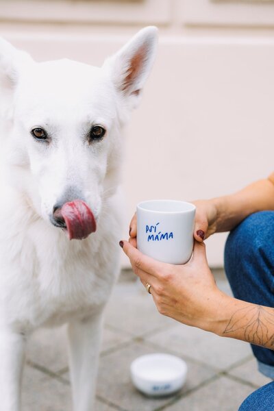 Porcelánový hrnček Psí máma 270 ml