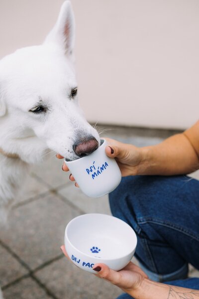 Porcelánový hrnček Psí máma 270 ml