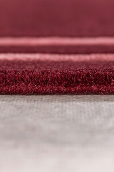 VLNENÝ KOBEREC, 120/170 cm tmavočervená Flair Rugs - Online Only bytové doplnky, Online Only