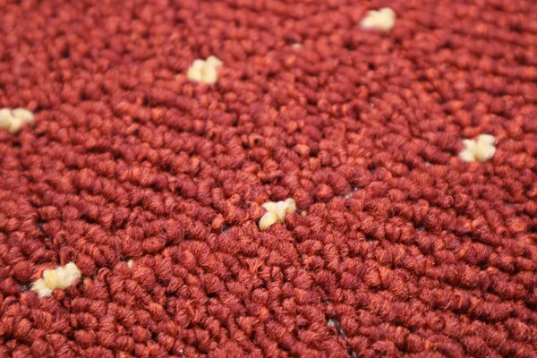 Condor Carpets , AKCIA: 70x200 cm Kusový koberec Udinese terra - neúčtujeme odrezky z role - obšitý zo všetkých strán, šíře, oranžová, filc, chodba / predsieň