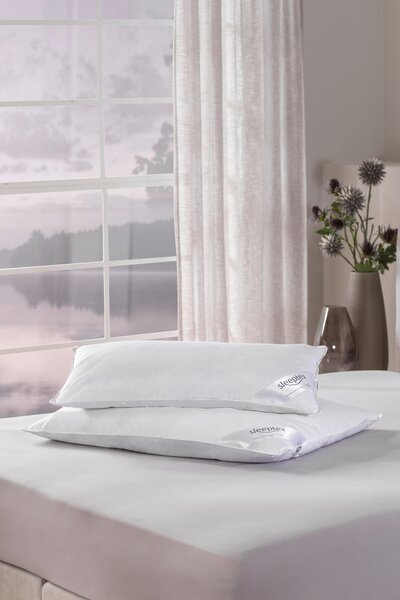 3-KOMOROVÝ VANKÚŠ, 40/80 cm Sleeptex - Prikrývky & vankúše