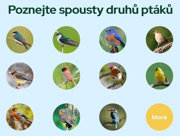 Bezdoteku Vtáčie oko múdre krmítko na okno s kamerou Sýkorka