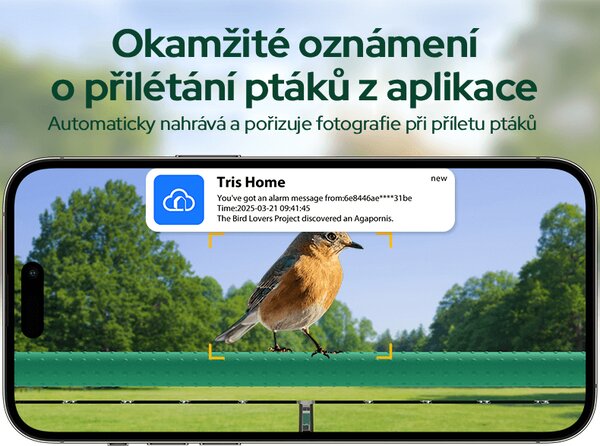 Bezdoteku Vtáčie oko múdre krmítko na okno s kamerou Sýkorka