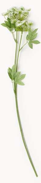 Rastlinná dekorácia Fenchel