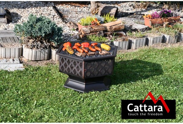 Ohnisko Hexagon – Cattara