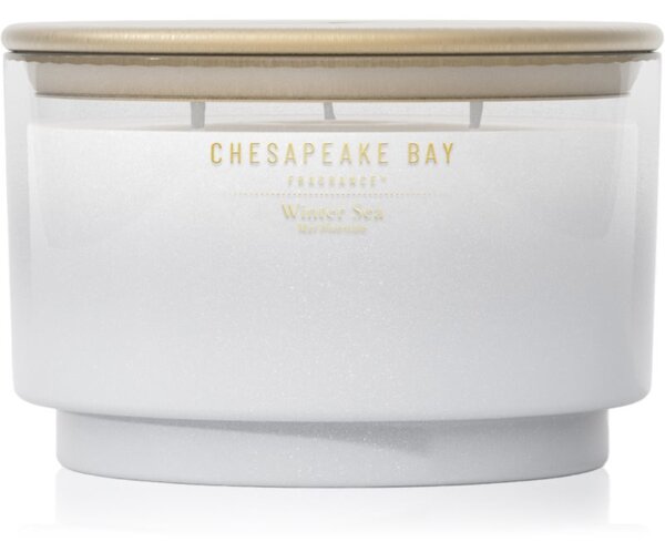 Chesapeake Bay Fragrance Winter Sea vonná sviečka s vekom 411 g