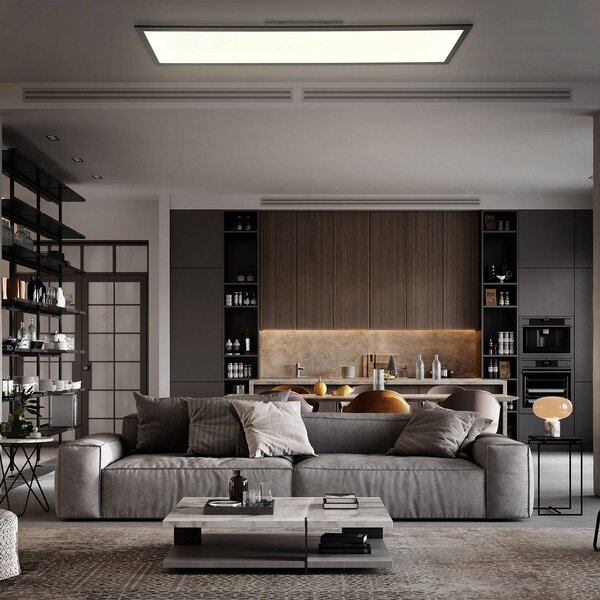 LED panel Odin s diaľkovým ovládaním 100 x 25 cm, čierny, Čierna, Pracovňa / Kancelária, kov, Moderný, Stropné svetlo