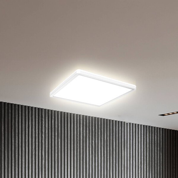 LED panel Eki, 29 x cm, biely, stmievateľné, podsvietenie, 4 000 K, Biela / opálová, Pracovňa / Kancelária, Plast, Stropné svetlo